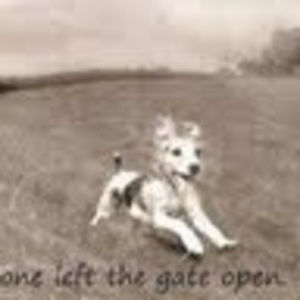 Meet your Posher, Penni